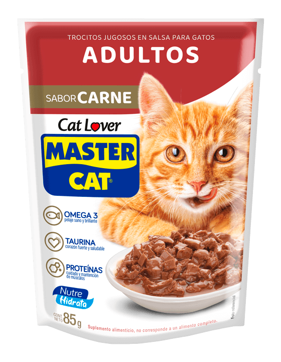 Master Cat Trocitos Jugosos Carne