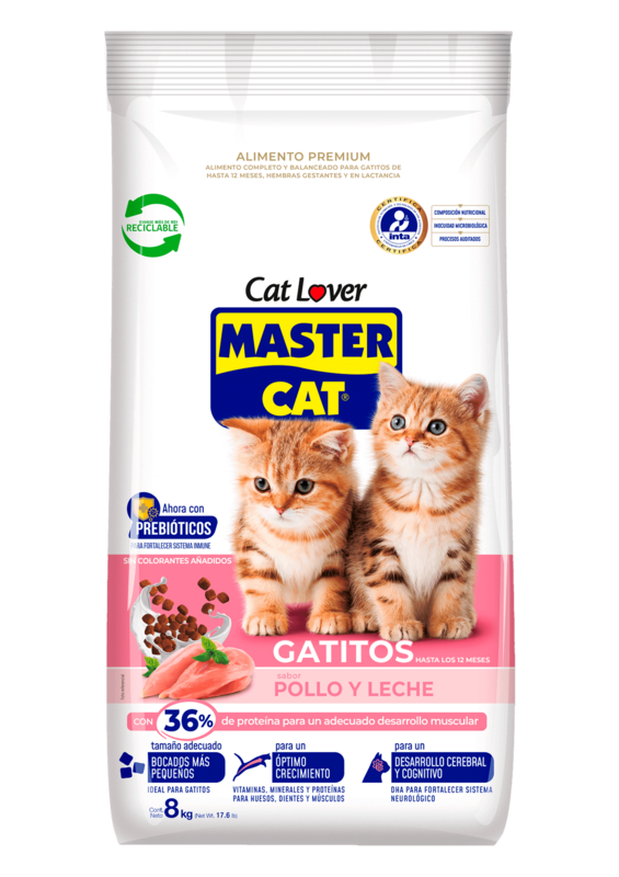 Master Cat Gatitos